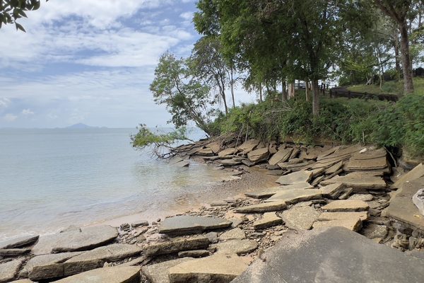 Le lastre di conchiglie fossili del cimitero delle conchiglie di Krabi