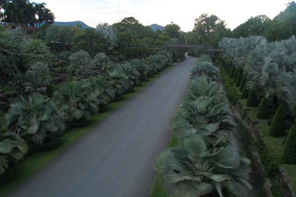 Le aiuole geometriche del giardino botanico di Nong Nooch