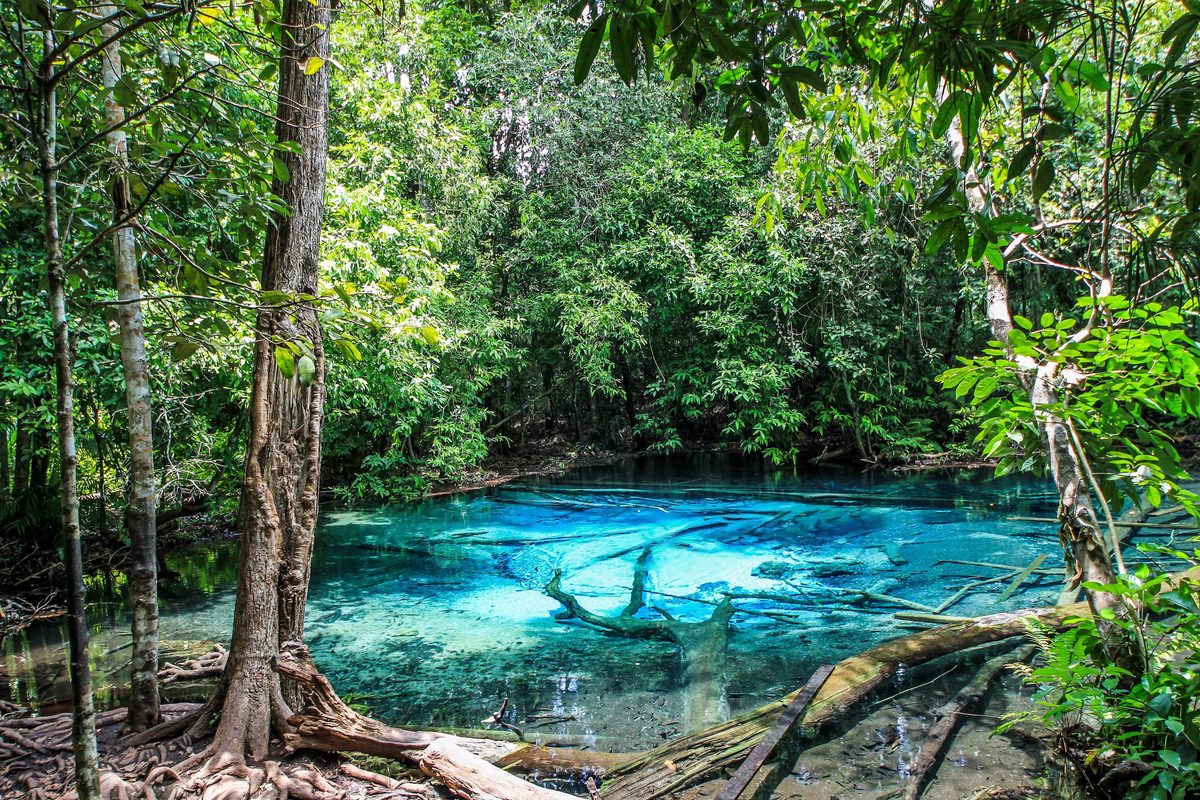 La Pozza di Smeraldo di Khlong Thom, a Krabi